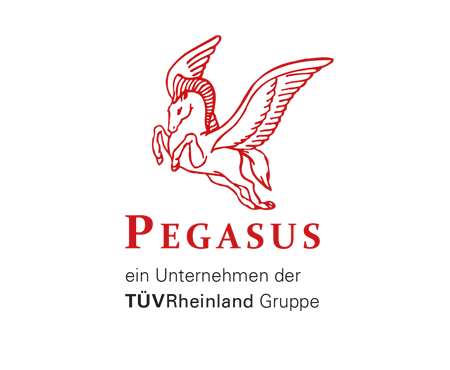 Pegasus-Dienstleistungs GmbH